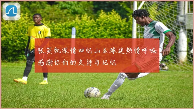 张英凯深情回忆山东球迷热情呼喊感谢你们的支持与记忆