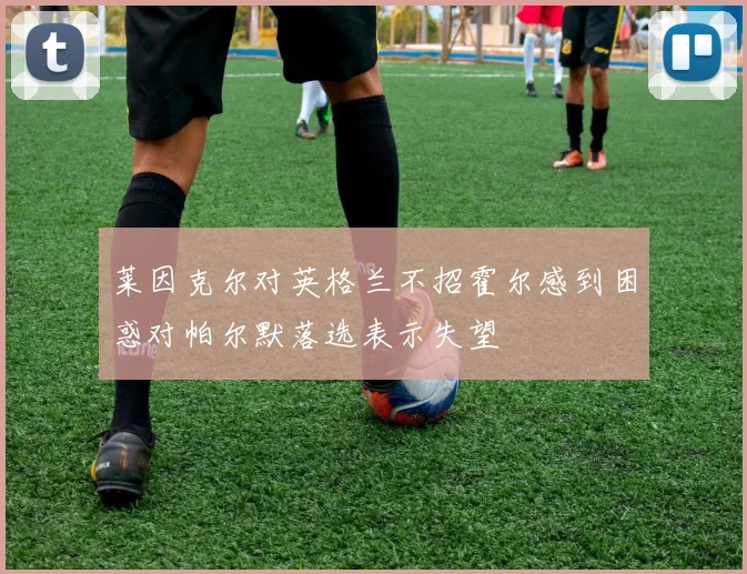 莱因克尔对英格兰不招霍尔感到困惑对帕尔默落选表示失望