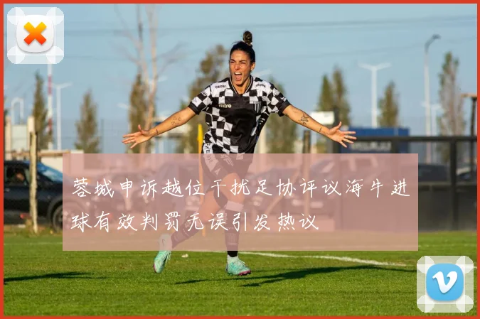 蓉城申诉越位干扰足协评议海牛进球有效判罚无误引发热议