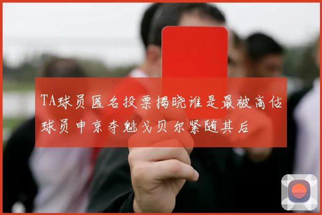 TA球员匿名投票揭晓谁是最被高估球员申京夺魁戈贝尔紧随其后